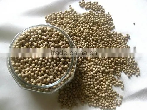 BLACK PEPPER VILACONIC photo-2