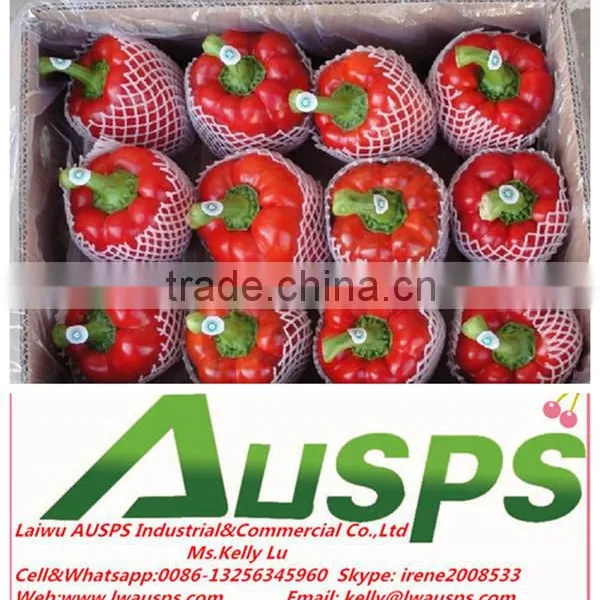 Red Capsicum photo-3