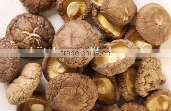Dried Smoth Shiitake Mushroom photo-2