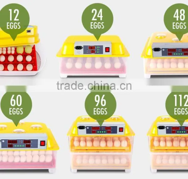 2016 Hotselling Automatic Egg Incubator,mini Egg Incubator Hotsale in UAE photo-4