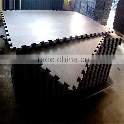 Interlocking Pvc Garage Floor Tile and Mat
