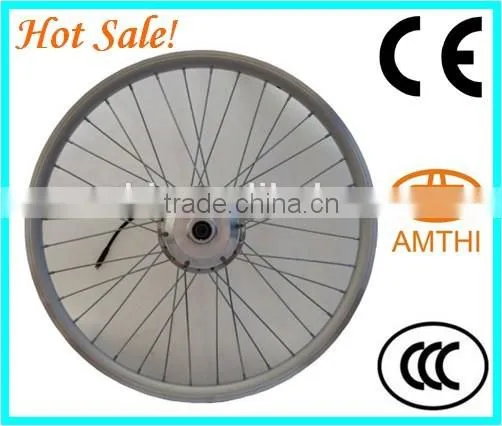 36V/48V, 250~500W E-bike, Spokes Brushless dc Motor photo-3