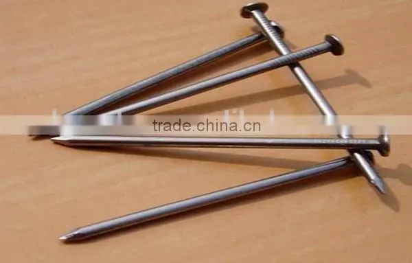 China Manufacturer Nail / Common Nail / Common Wire Nail photo-3