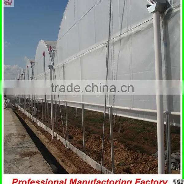 Hot Sale Multi-span 10.8m Double Layer Plastic Film Greenhouse From China photo-2