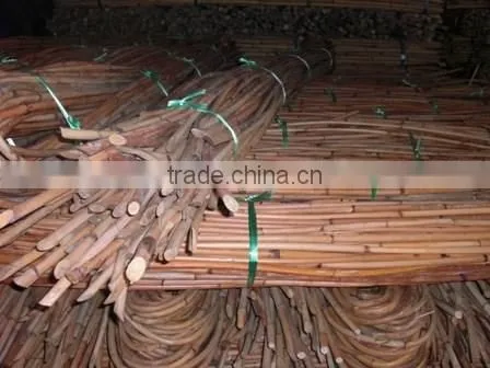Red Water Rattan Cane photo-6
