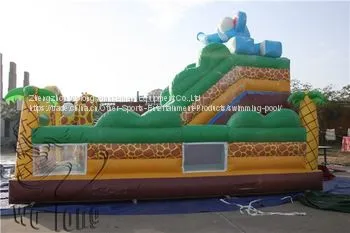 Wolong PVC Trapualin Inflatable Dry Slide, Inflatable Water Slides For Backyard photo-2