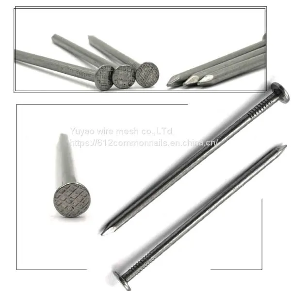 YuYao Factory Supply Iron Nail With Best Price photo-4