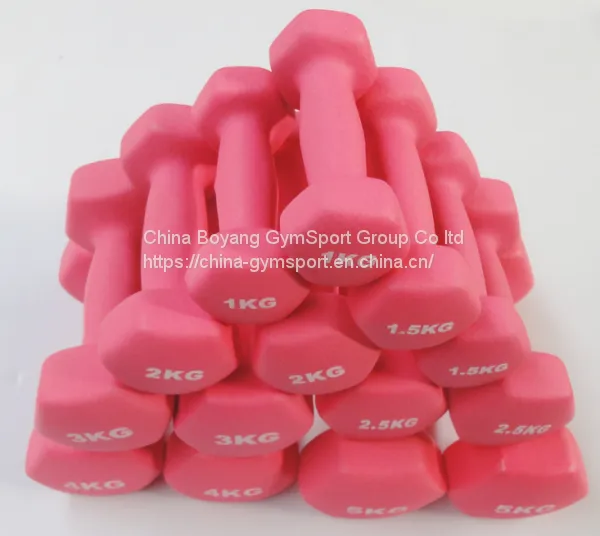 Home Fitness Dumbbell Sets for Women