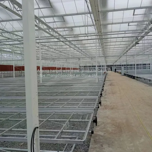 Greenhouse Flower Cultivation Vegetable Seedling Rice Seedling Seedling Bed Production Factory photo-5
