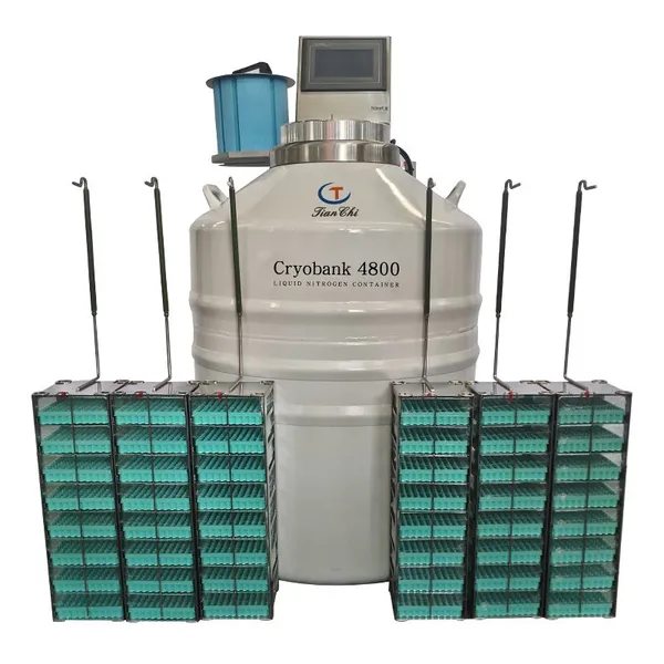 Australia Ln2 Cryogenic Freezer KGSQ Freezing Container photo-5