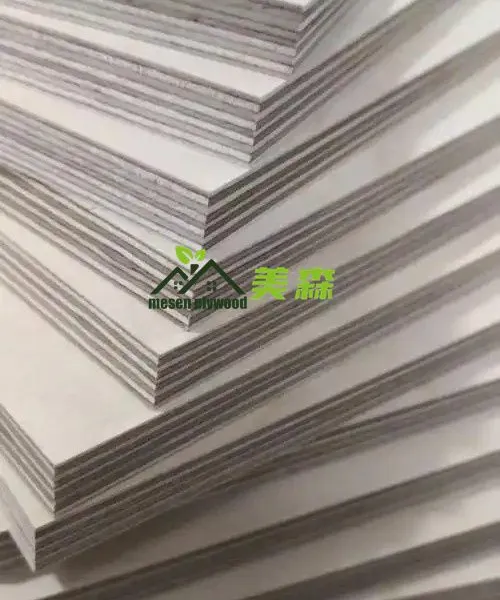 Birch Plywood 3-25mm Poplar/Eucalyptus Core Plywood UV Coading Plywood for Furniture/Construction photo-2