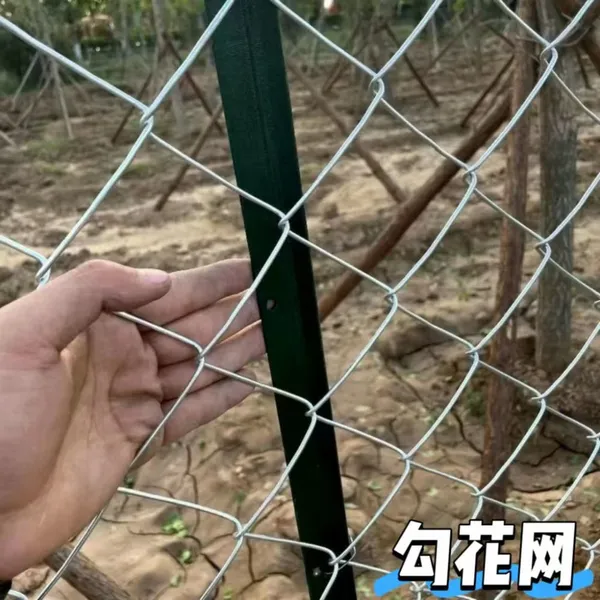 Hot-Dipped Galvanized Chain Link Fence With 2.5mm Wire Diameter for Industrial Security photo-2