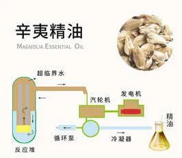 50-100L Magnolia Flower Essential Oil Extractor Machine Essential Oil Distillation Extraction Machine photo-6