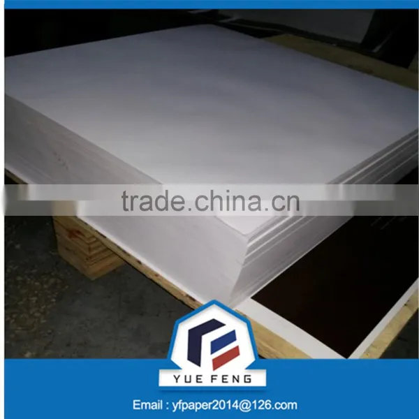 White Coated FBB Paper Board in Roll Made by Wood Pulp photo-5