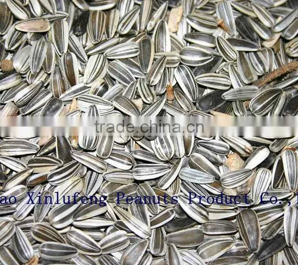 Chinese Sunflower Kernels
