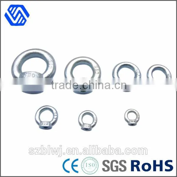 Galvanized Carbon Steel Drop Forged Lifting Din 582 Eye Nut photo-5