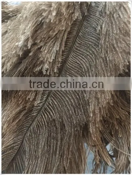 Ostrich Feather Duster for Kitcken photo-4