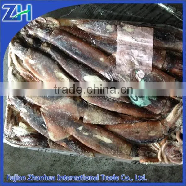 Squid Jig Lamps for Illex Squid Frozen Squid