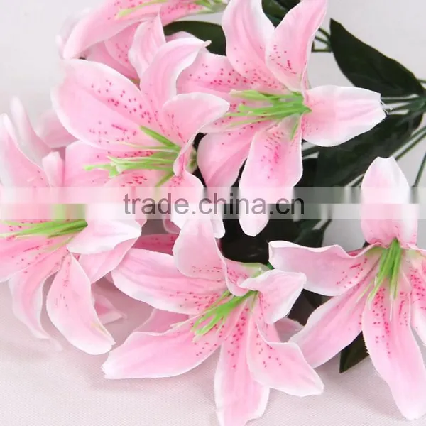 Supply High Quality Oriental White 10 Heads Lily photo-4