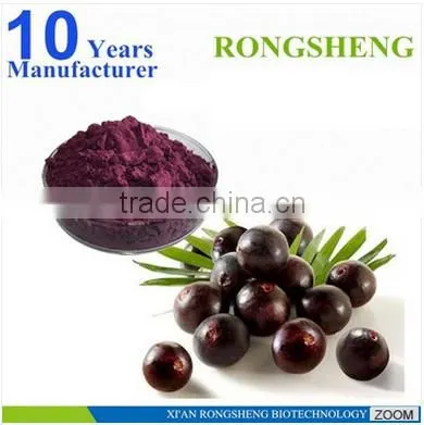 Hot Sale Freeze Dried Powder Organic Acai Berry