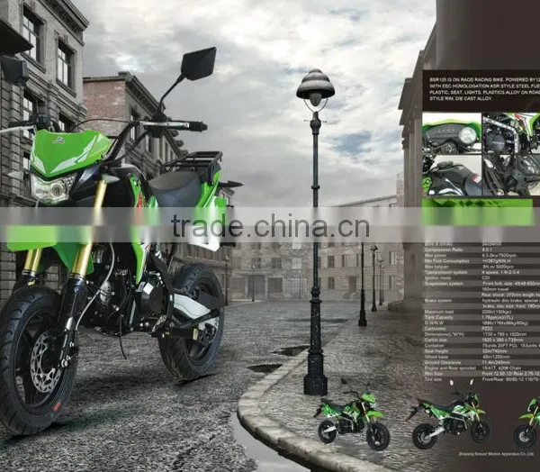 EEC110CC ROAD MOTORCYCLE BSR EPA