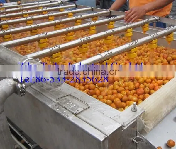 Fully Automatic Pomegranate Washing Machine photo-3