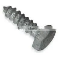 Hot Dipped Galvanized Lag Bolts (Screws)