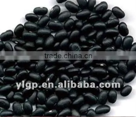 Black Beans