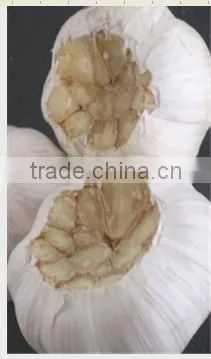 Garlic Cutting Machine/garlic Root Cutting/garlic End Cutter/root Concave Cutting Machine photo-4