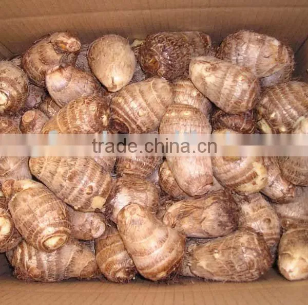 Fresh Taro