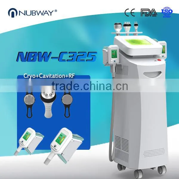 50 / 60Hz Fat Freeze Cryolipolysis Weight Loss Machine Lose Weight Cool Tech Slimming Body Shaping Machine photo-2