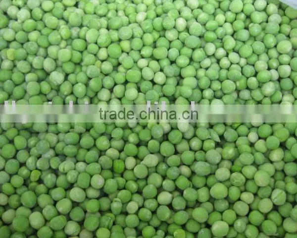 Frozen Vegetable