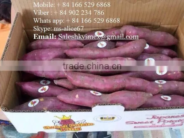 Export Fresh Sweet Potato, Good Price/ HKVIMEX photo-3