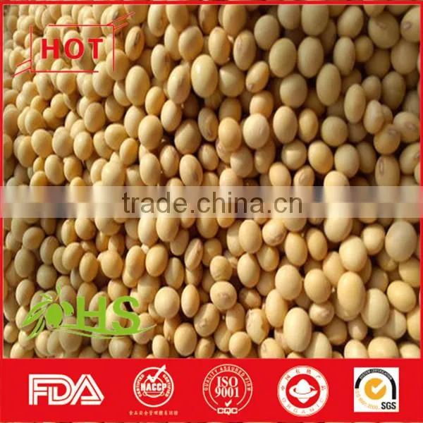 Hot Sale Dried Soybeans in Bulk With High Quality photo-6
