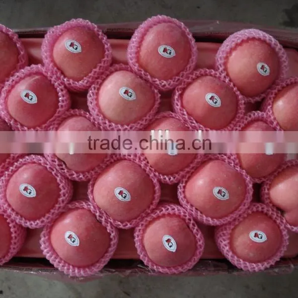 Wholesale Prices Fresh Apple Fruit / Red Fresh Apple photo-3