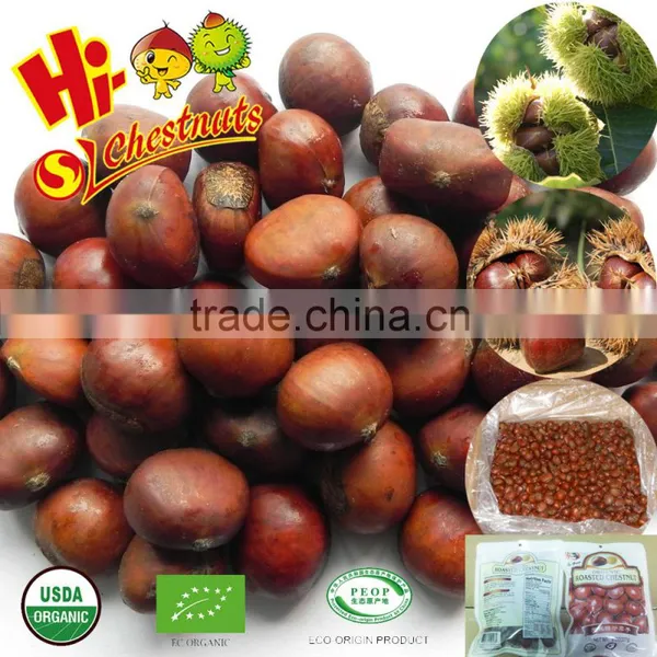 Quick Freezing Organic Roasted Chestnuts With Shell photo-4