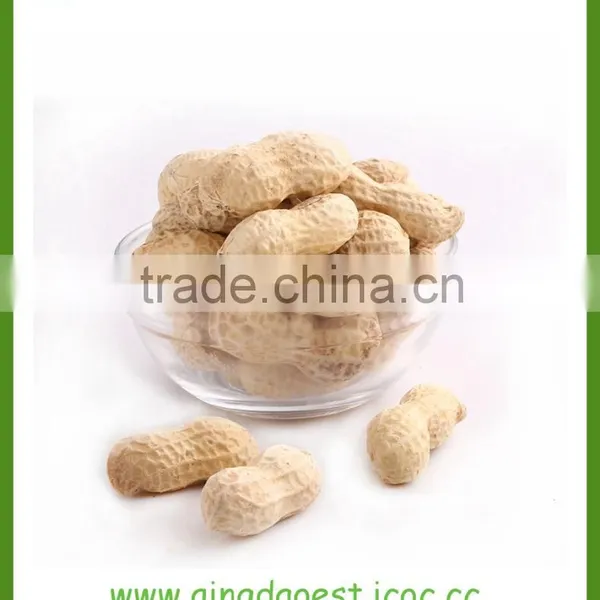 Peanut in Shell photo-2