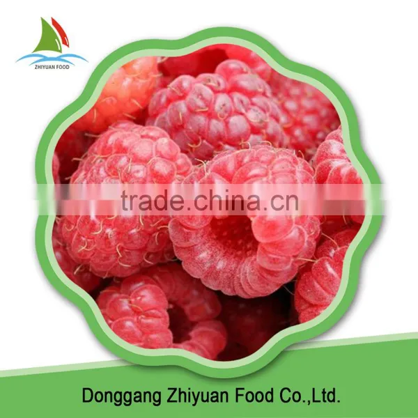China High Quality IQF Frozen Cultivated Raspberry photo-6