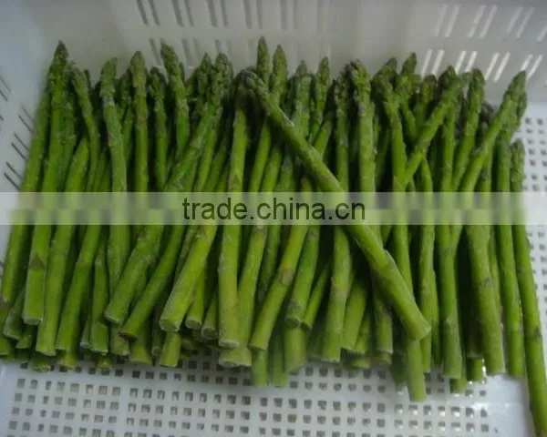 Top Quality Frozen Green Asparagus for 1 kg Packed per Carton photo-3