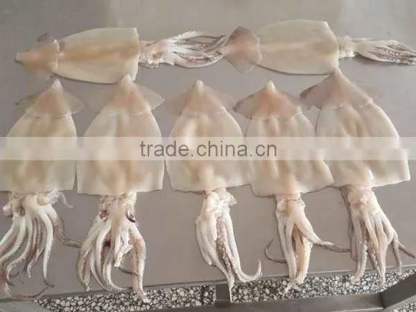 SQ-400 High Efficiency Fish Machine,fish Skinner,fish Skin Remover photo-6