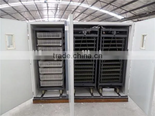 High Quality Automatic Peacock Hatching Eggs for Sale photo-2