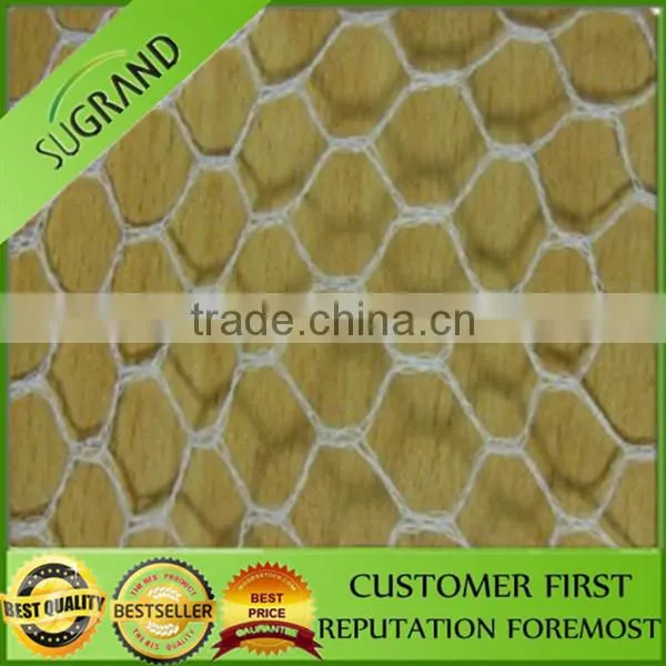 100% HDPE UV Agricultural Anti Bird Net / Fruit Tree Anti Bird Net photo-5