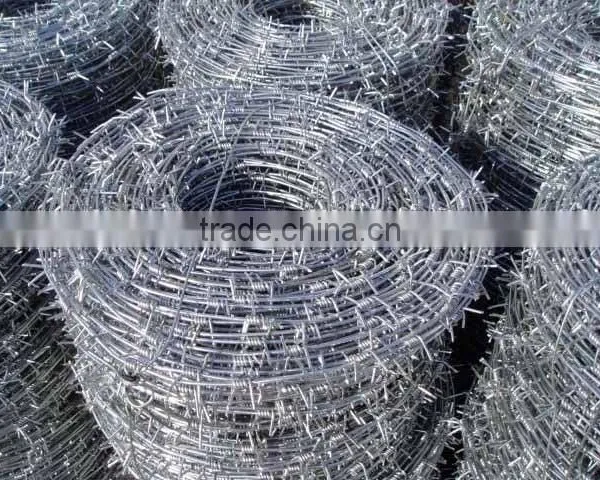 China Hot-dipped/electro Galvanized Barbed Wire photo-2