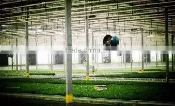 Newest Air Circulation Fan for Greenhouse or Poultry photo-5