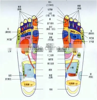 Configuration Stimulates Reflex Points Revitalize Magnetic Insoles Shoe Inserts photo-4