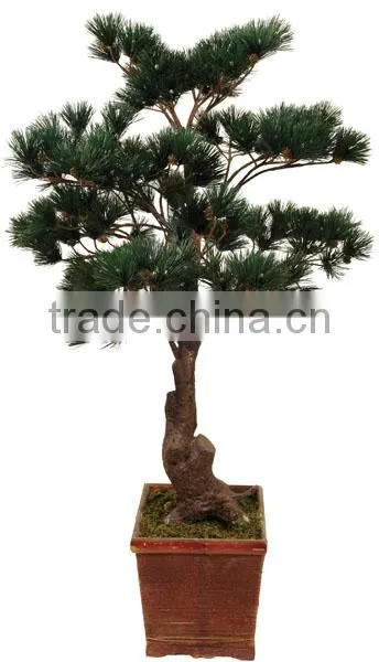 Foliage Plants Bonsai From Guangzhou Factory photo-6