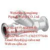 Clamp Strainer