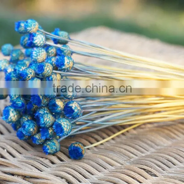 Dried Natural Small Mini Flower Brazilian Art Artificial Dried Flower Home Decoration photo-2