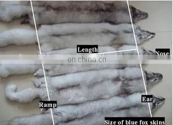 Hot Selling Blue Fox Fur Skin / Natural Blue Fox Fur Skin / High Quality Cheap Fox Fur Skin photo-2