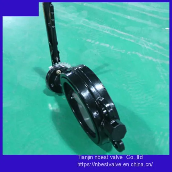 Steel Lever Wafer CI Body Butterfly Valve Coating Proof Corrosion Paint photo-2